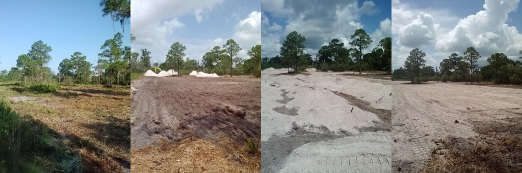 Land Clearing