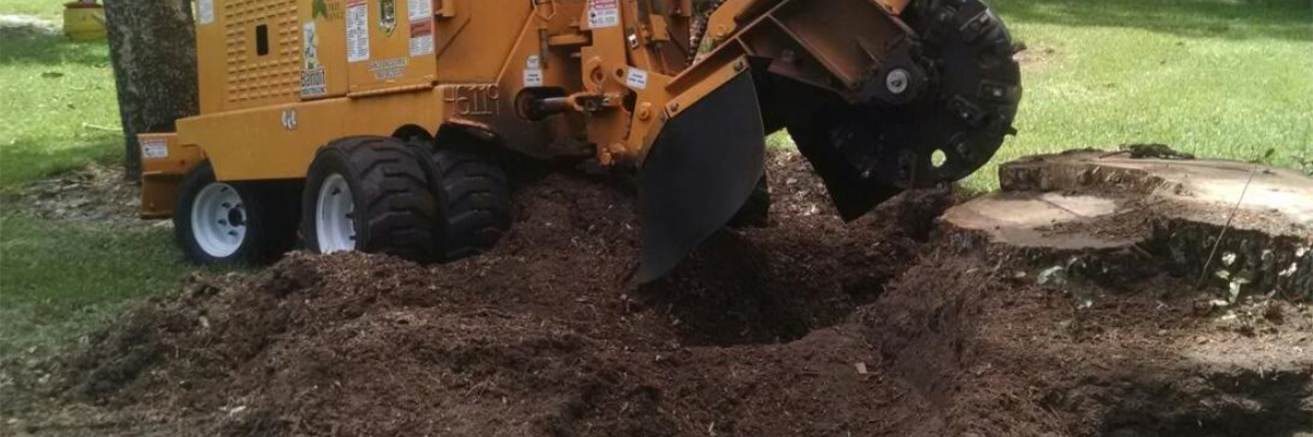 Permalink to: Stump Grinding